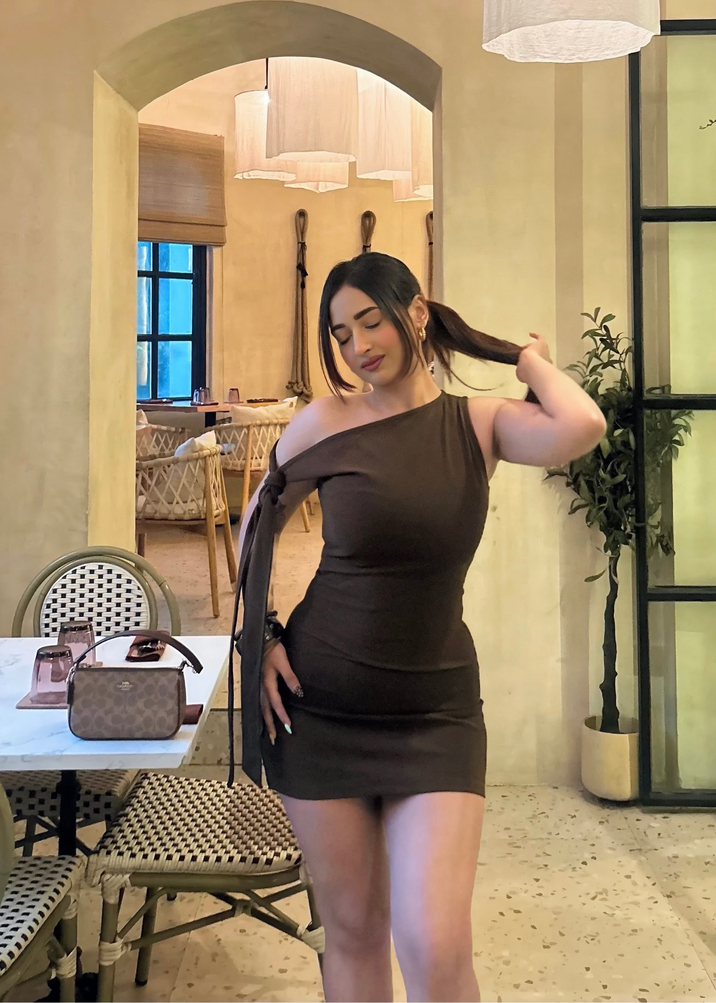 Mocha Dress